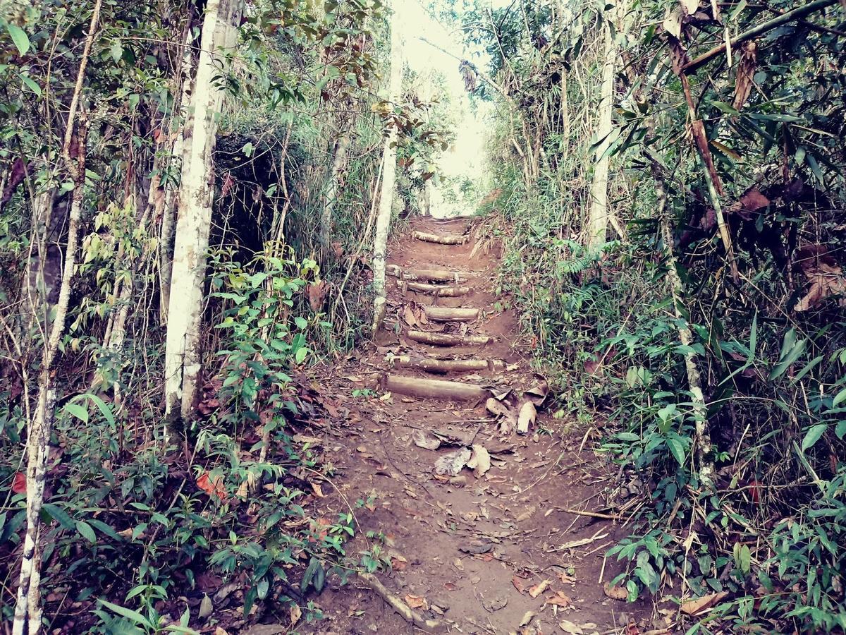 Canto Dos Passaros Nova Friburgo Eksteriør bilde